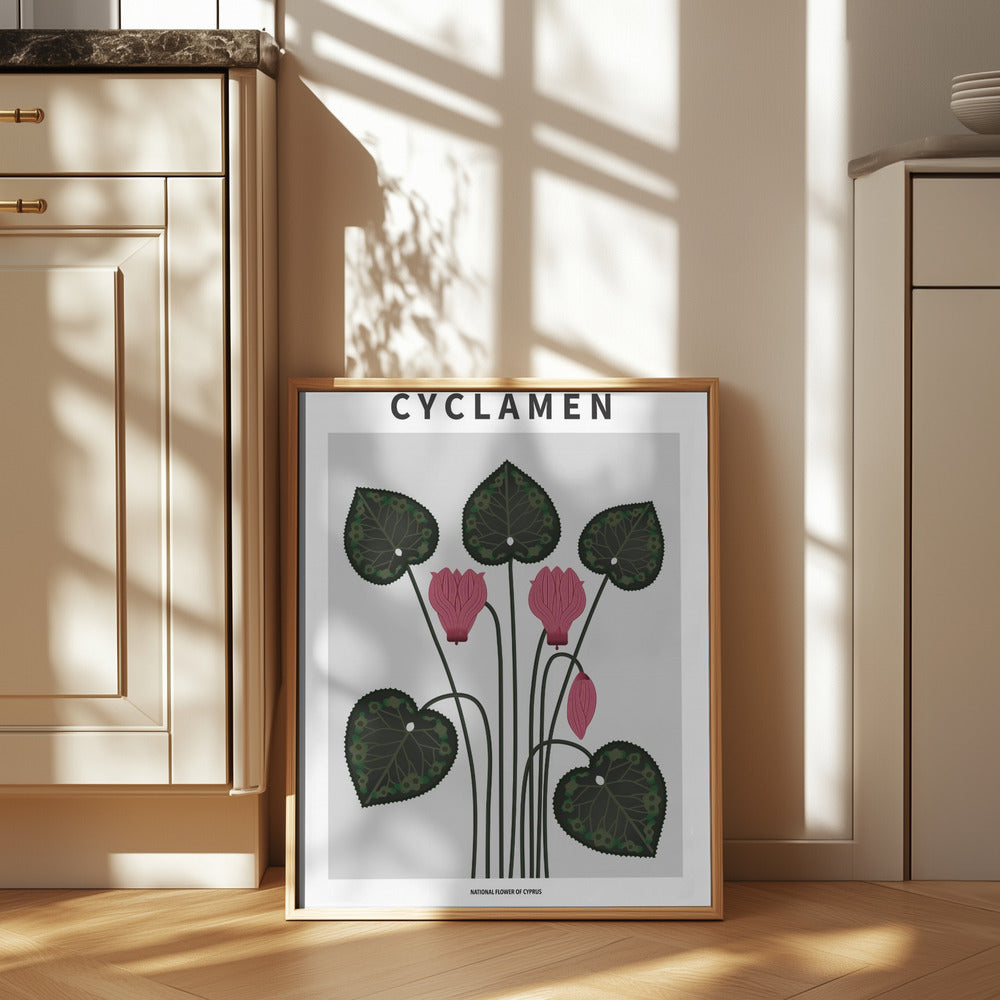 Cyklamen - National flower of Cypres Poster