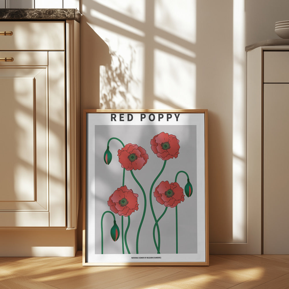 Red Poppy - National flower of Belgium Poster