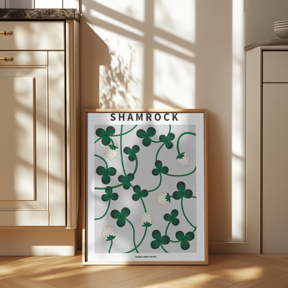 Shamrock - National flower of Ireland Poster