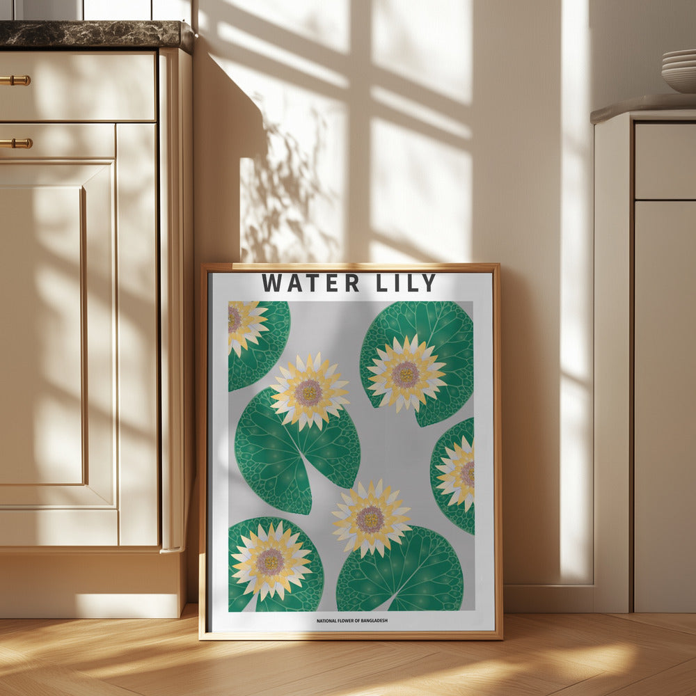 Water lily - National flower of Bangladesh Poster