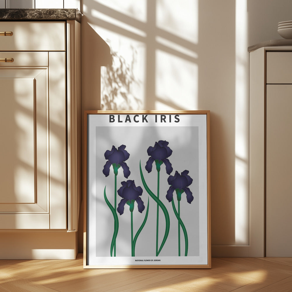 Black Iris - National flower of Jordan Poster