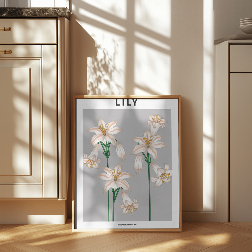 Lily - National flower of Italy Poster