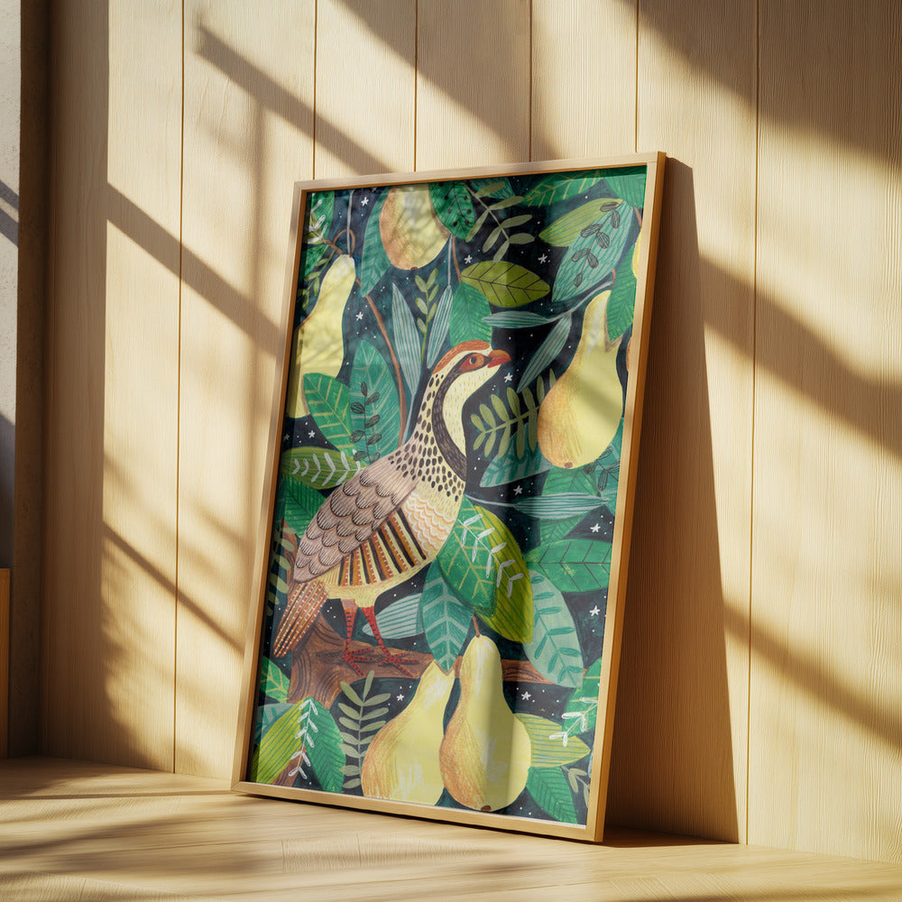 Partridge in a pear tree Poster