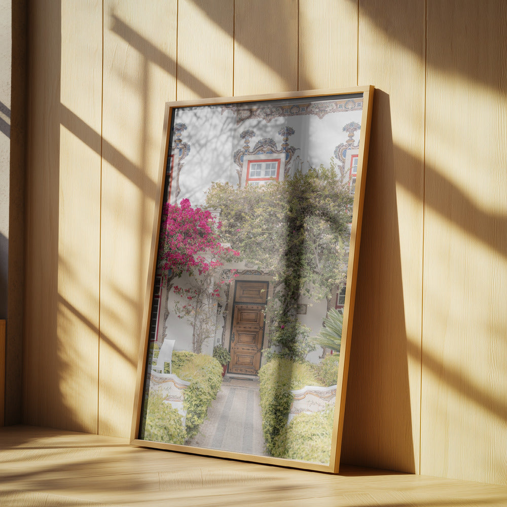 Graceful Entry Poster