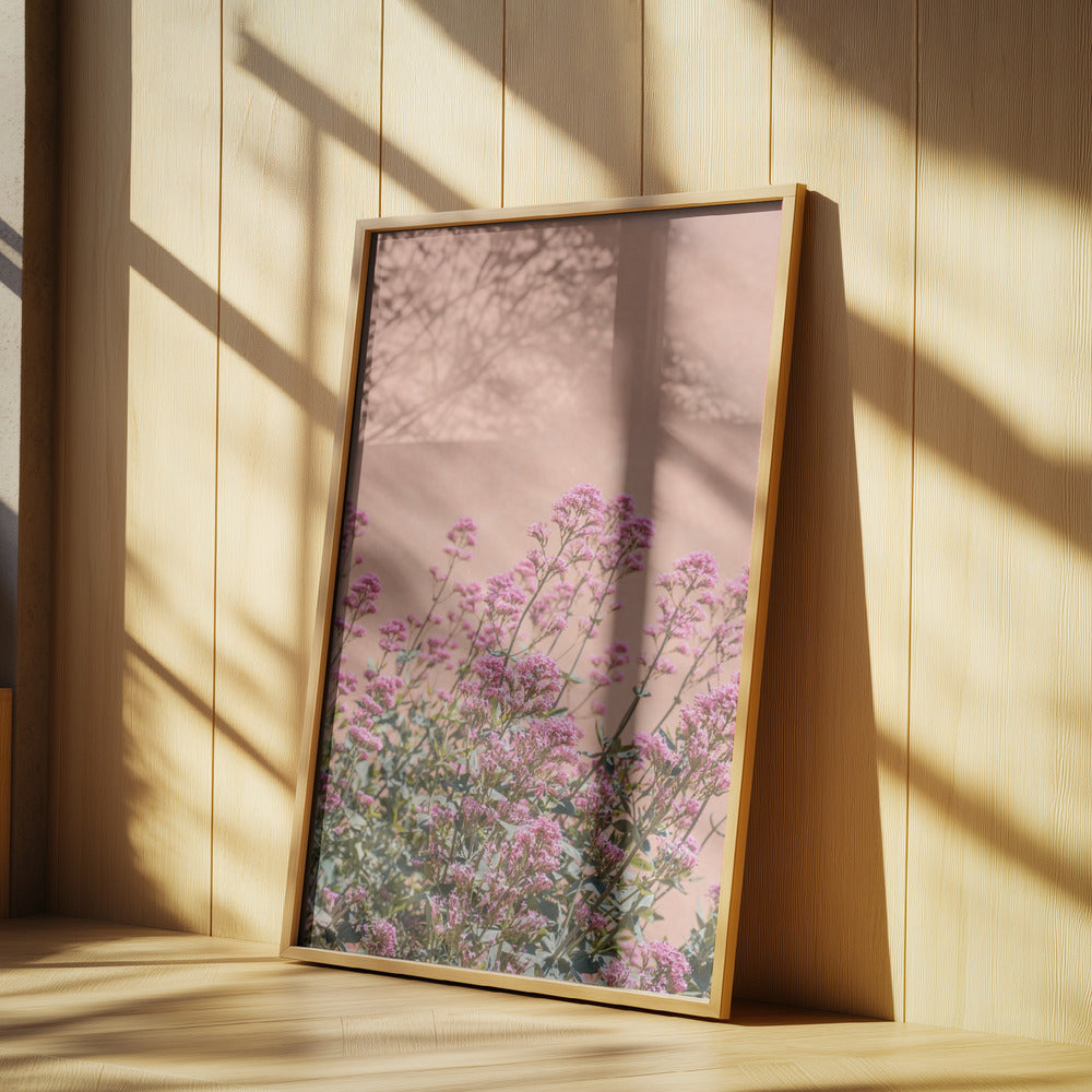 Summer Flowers Poster