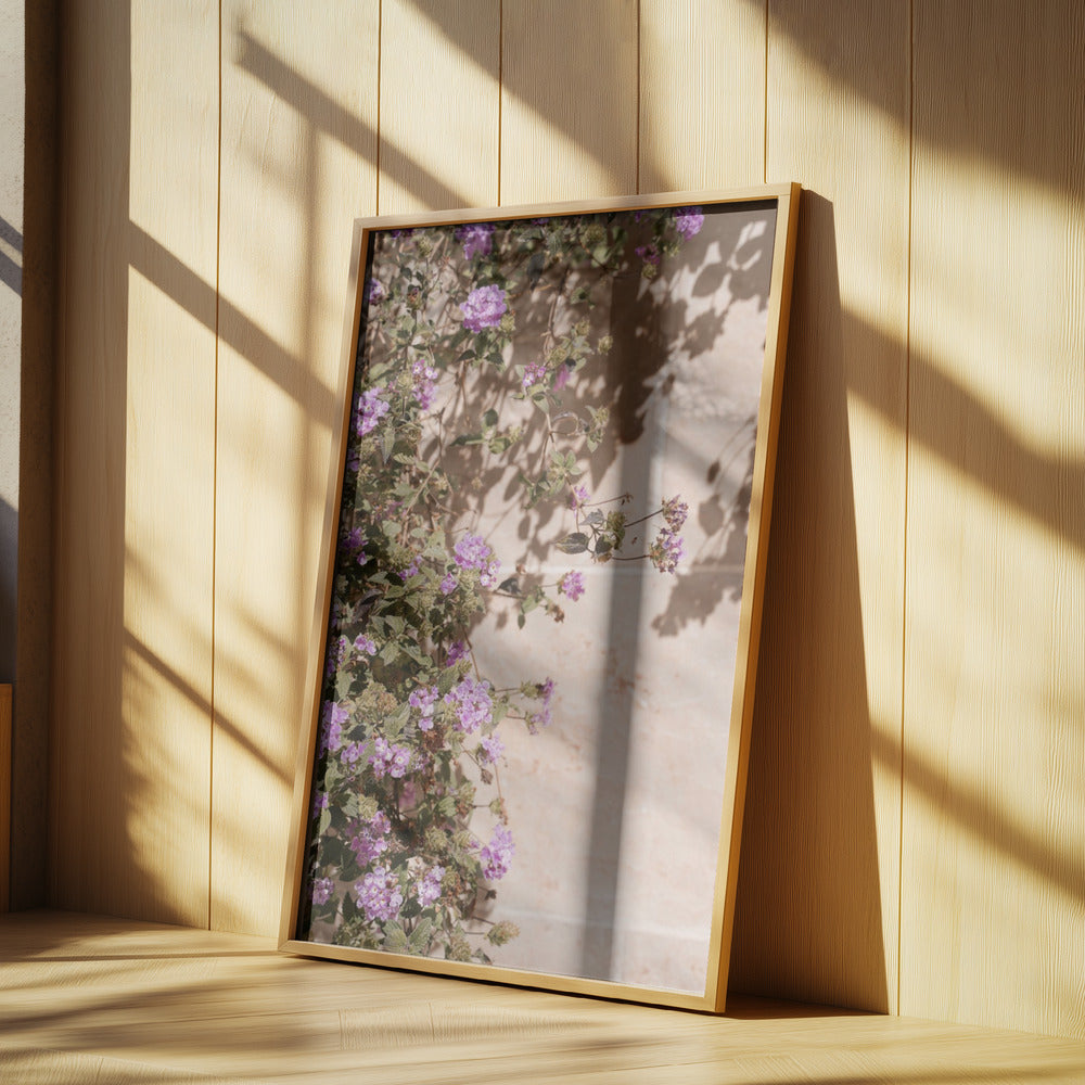 Lilac Summer Poster