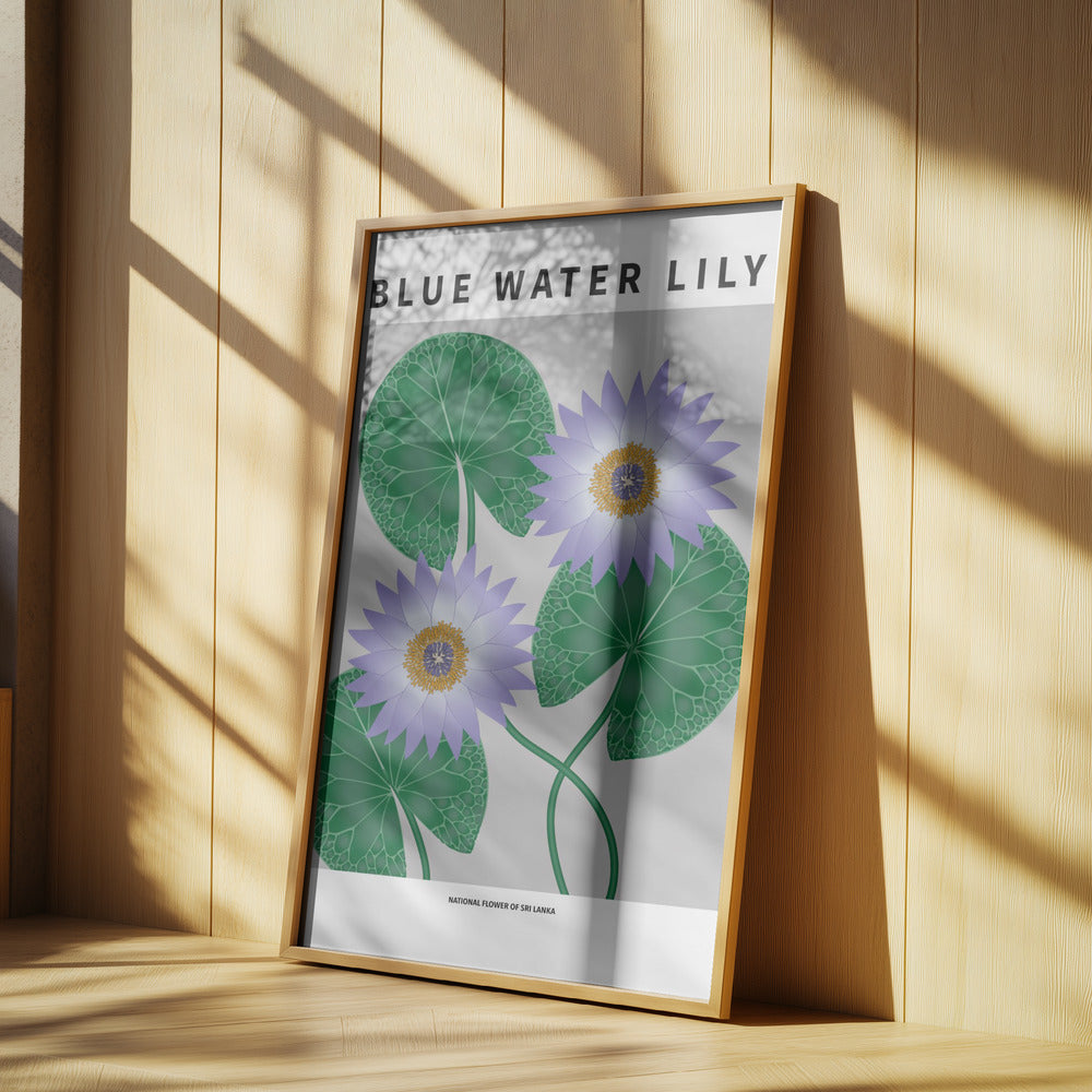 Blue Water Lily - National flower of Sri Lanka Poster