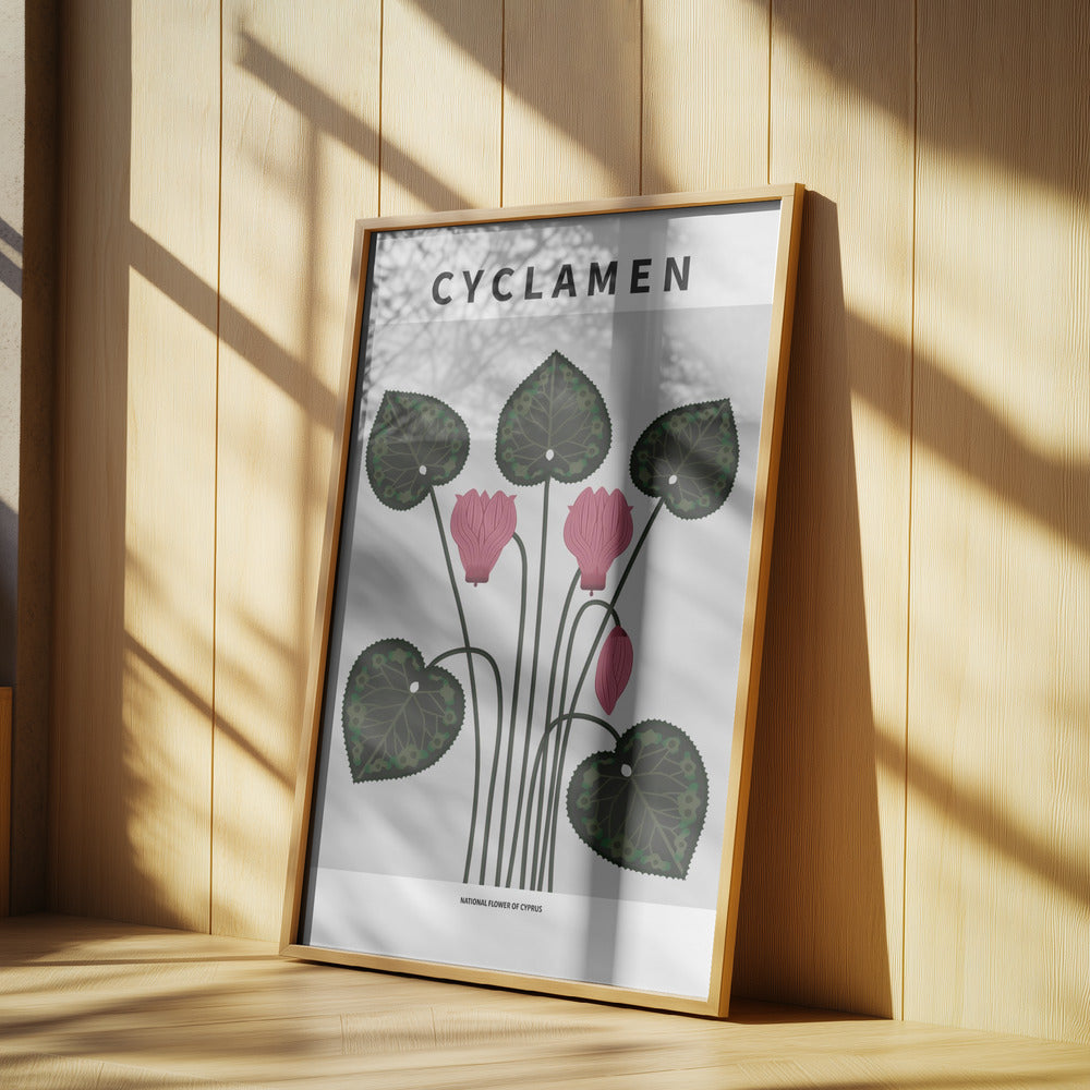 Cyklamen - National flower of Cypres Poster