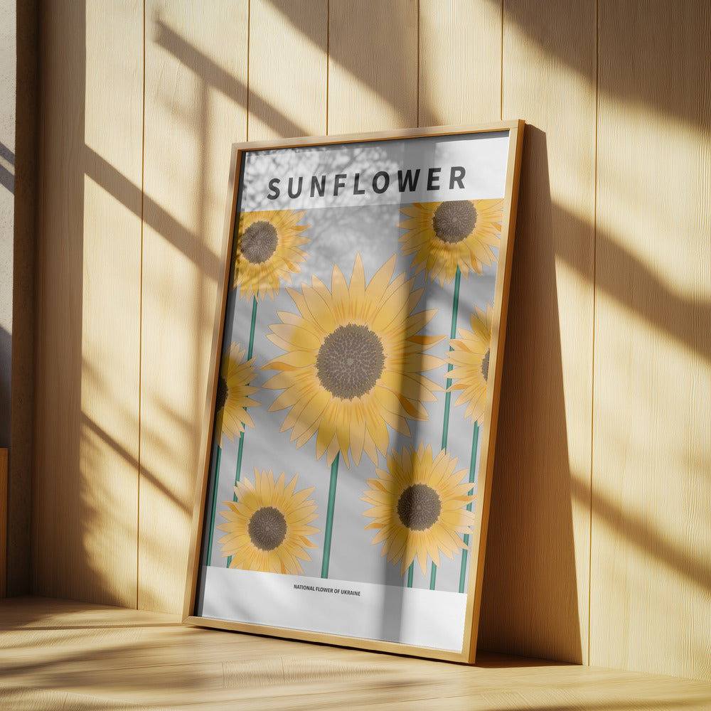 Sunflower - National flower och Ukraine Poster