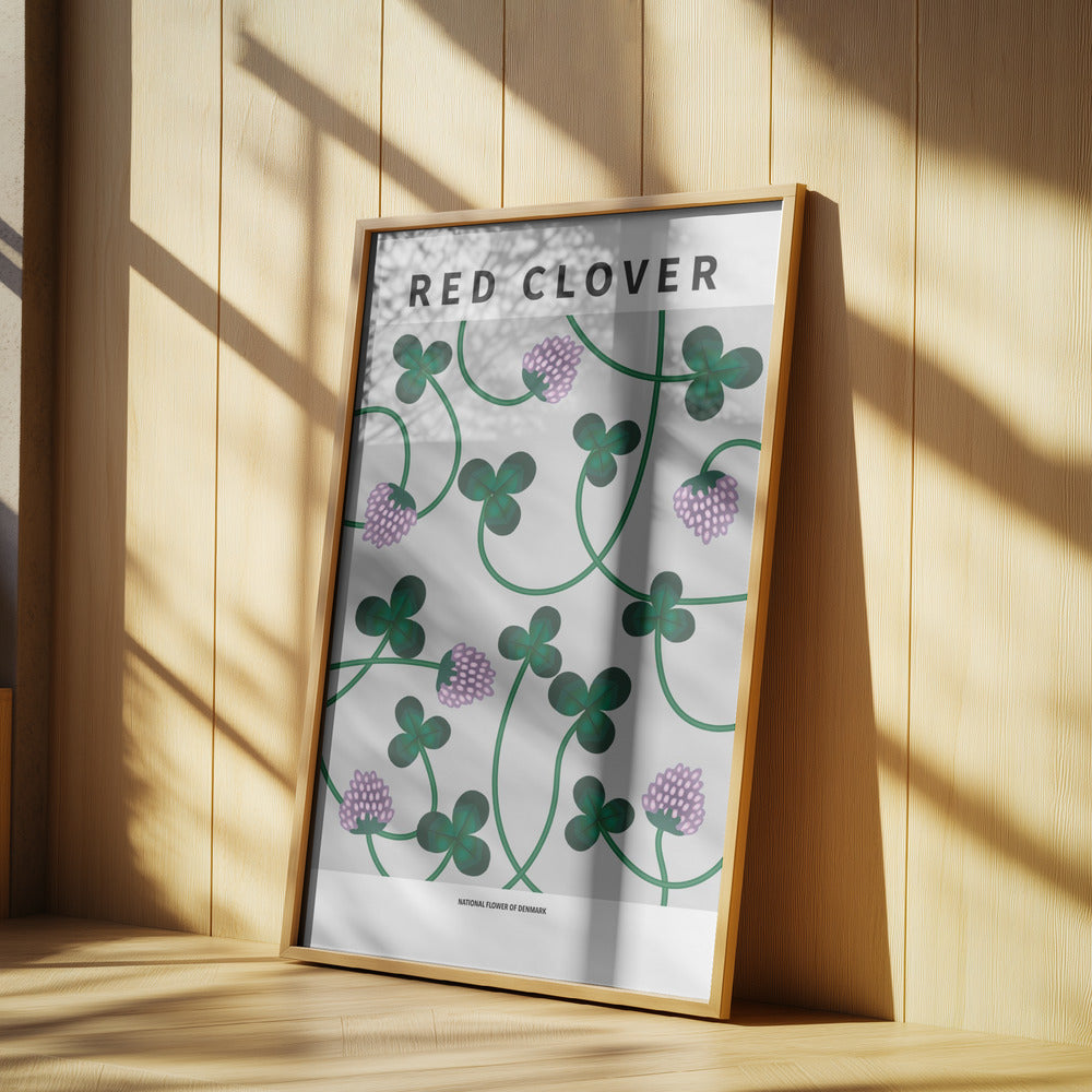 Red Clover - National flower of Denmark Poster