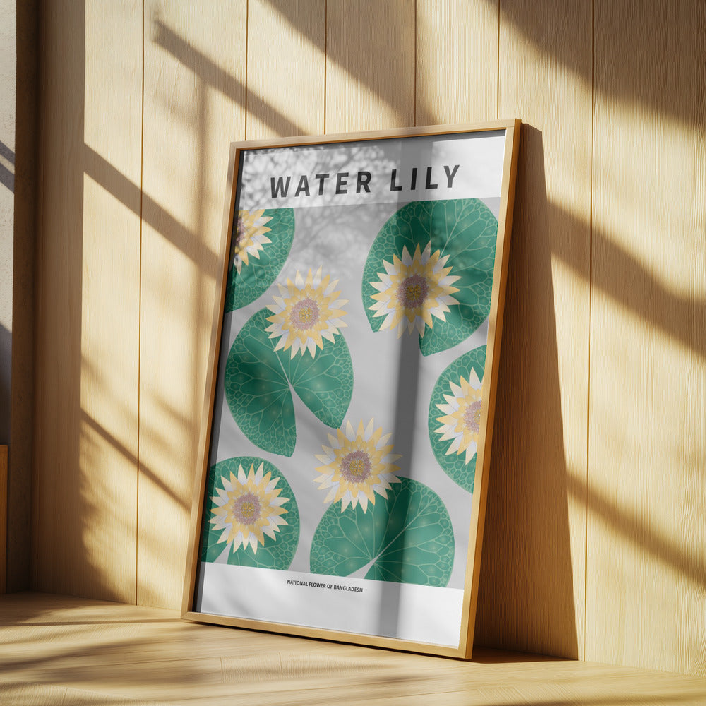Water lily - National flower of Bangladesh Poster