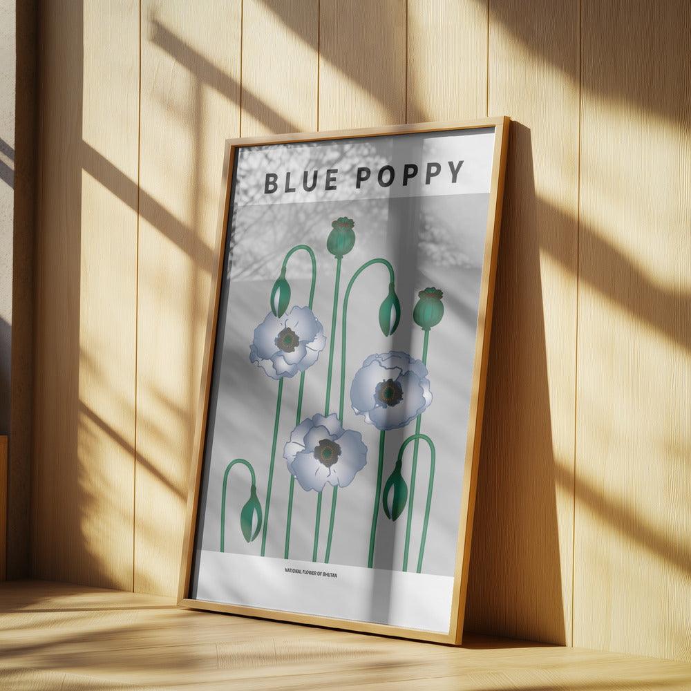 Blue Poppy - National flower of Bhutan Poster