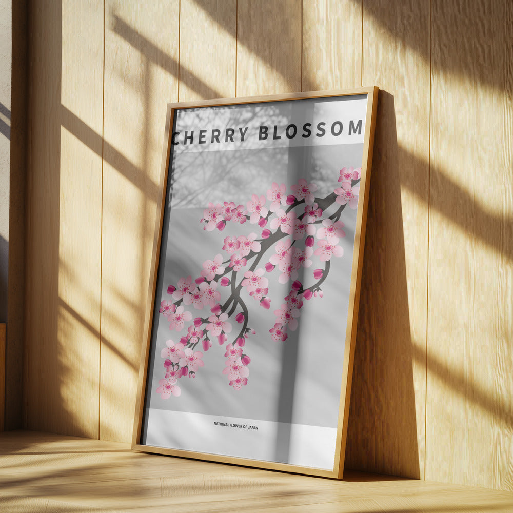 Cherry blossom - National flower of Japan Poster