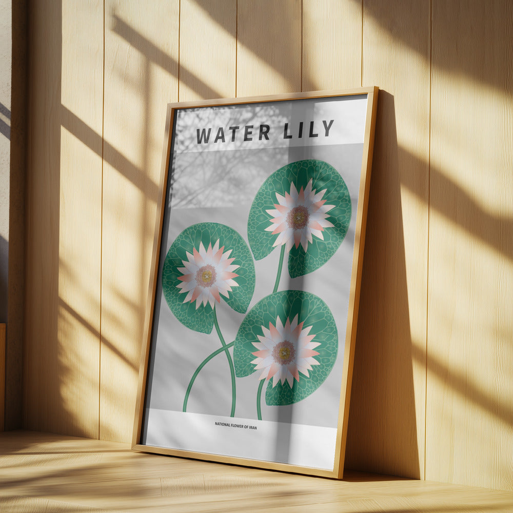 Water Lily - National flower of Iran Poster