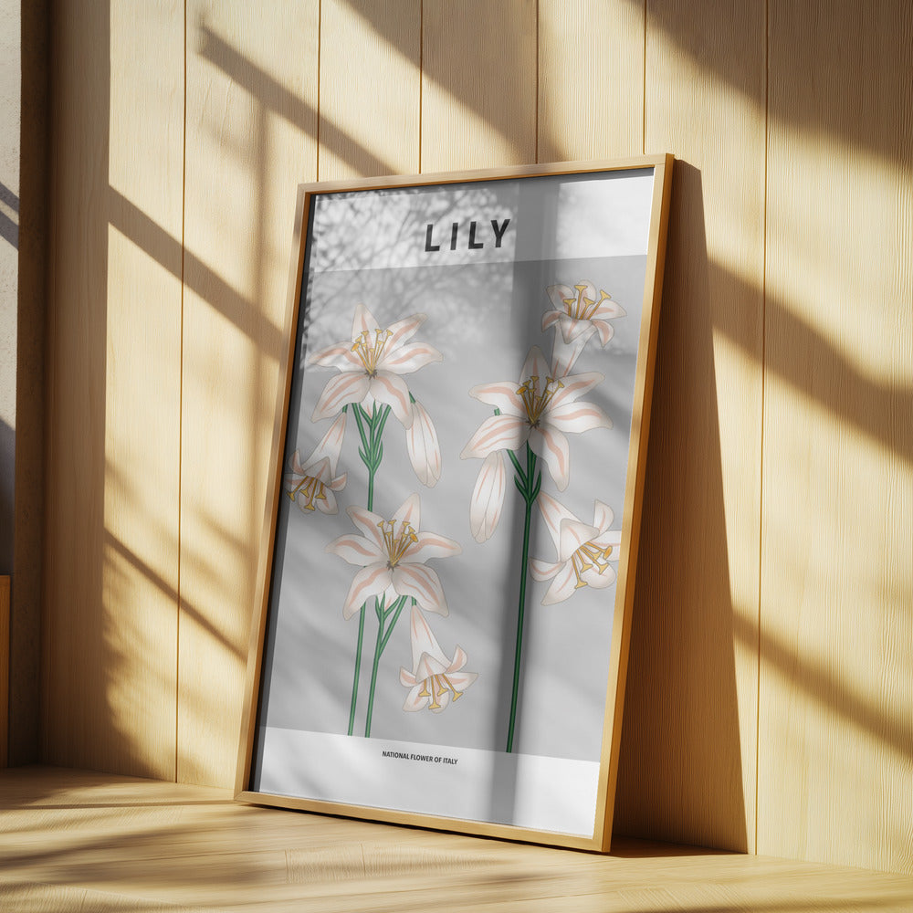 Lily - National flower of Italy Poster