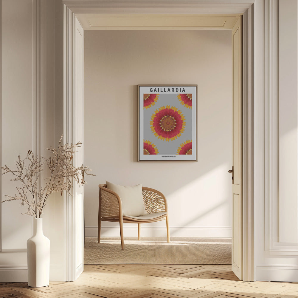 Gaillardia - National flower of Belgium Poster
