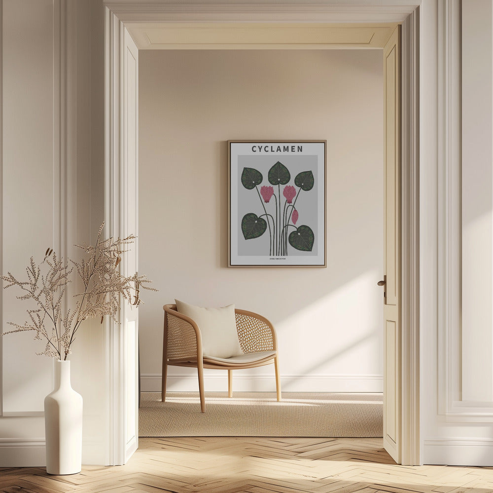 Cyklamen - National flower of Cypres Poster