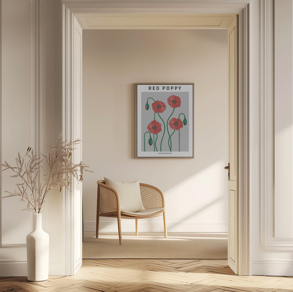 Red Poppy - National flower of Belgium Poster