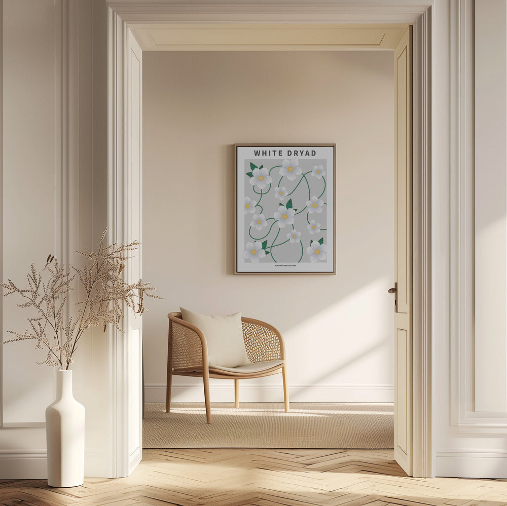 White dryad - National flower of Iceland Poster