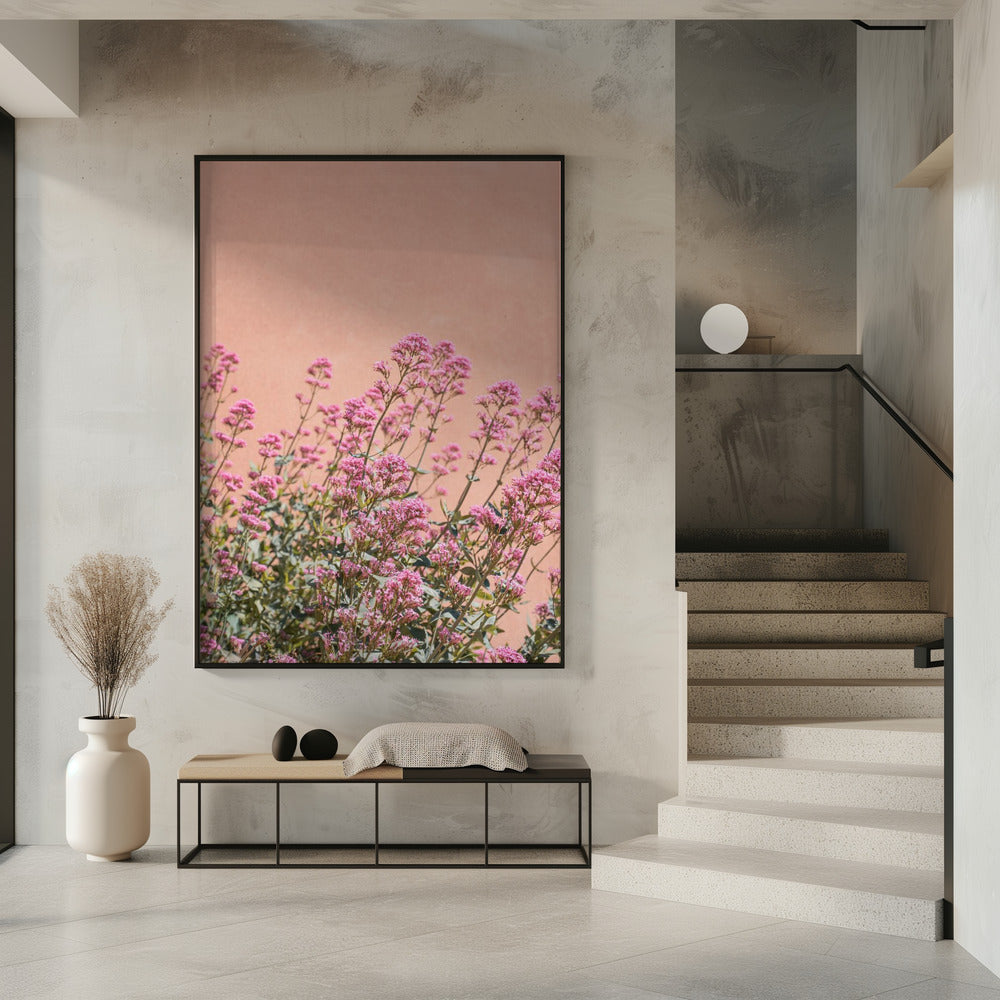 Summer Flowers Poster