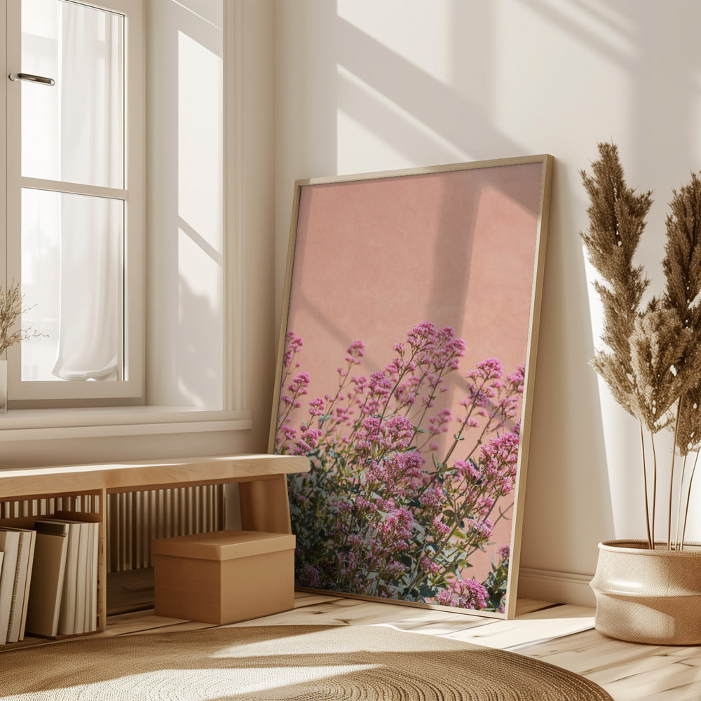 Summer Flowers Poster