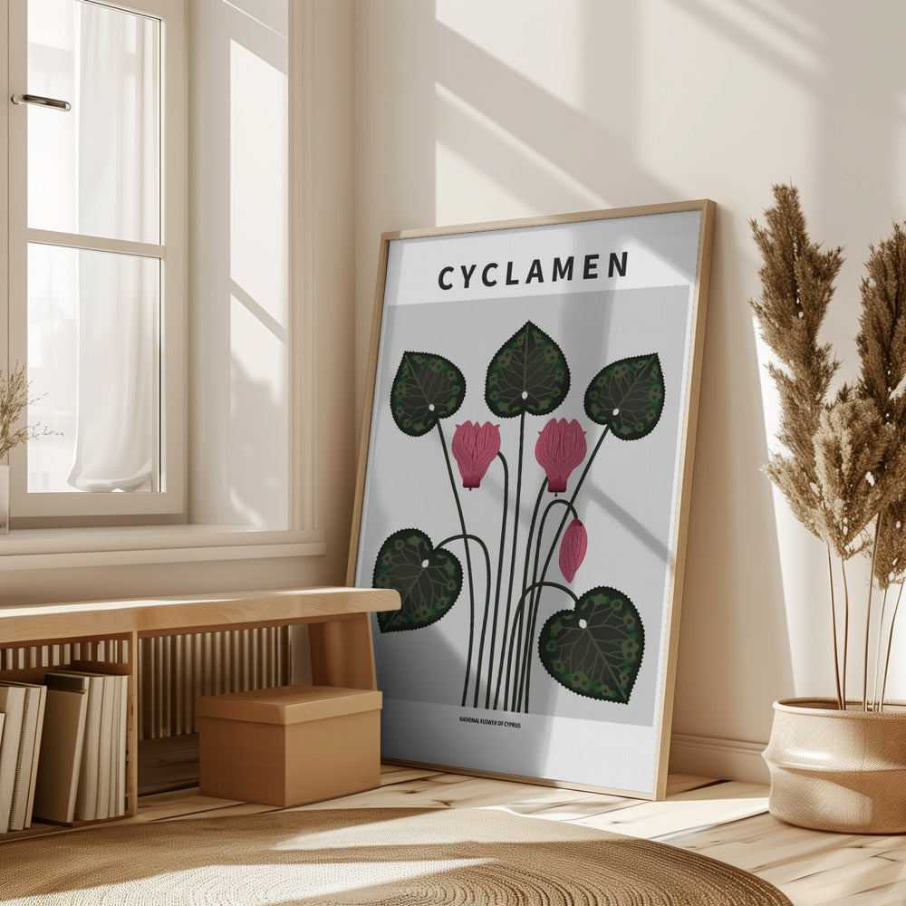 Cyklamen - National flower of Cypres Poster
