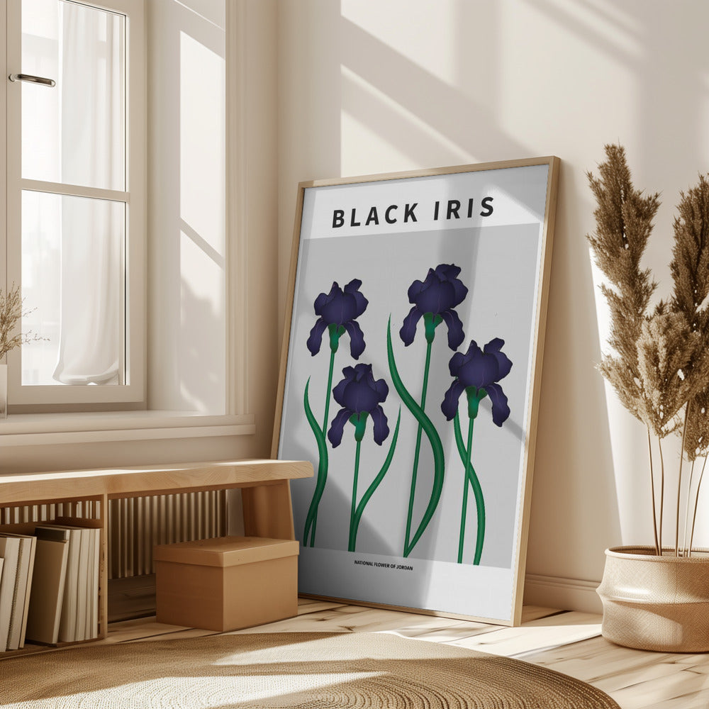Black Iris - National flower of Jordan Poster