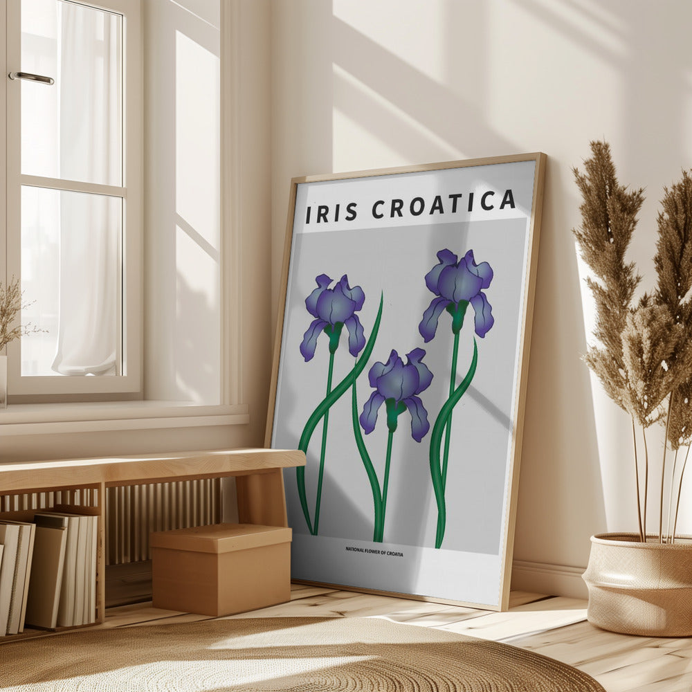 Iris Croatica - National flower of Croatia Poster