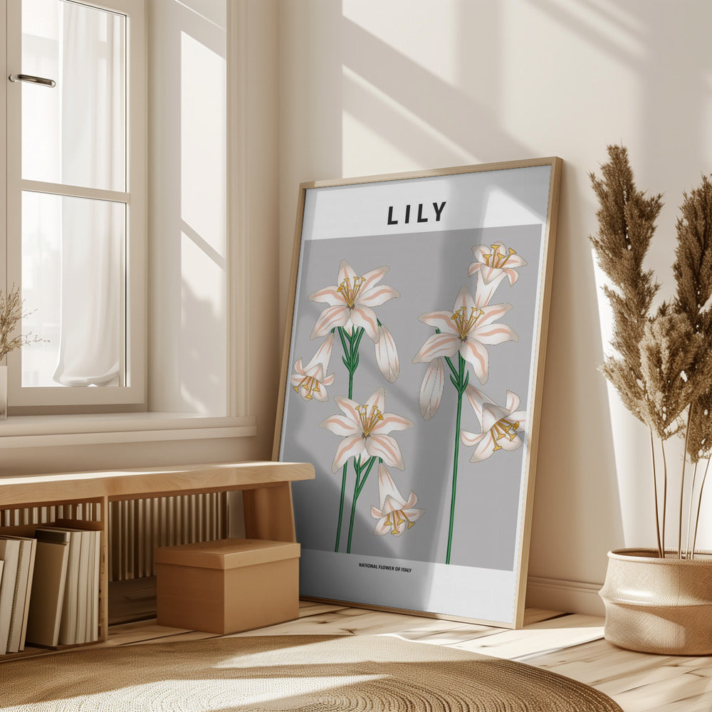 Lily - National flower of Italy Poster
