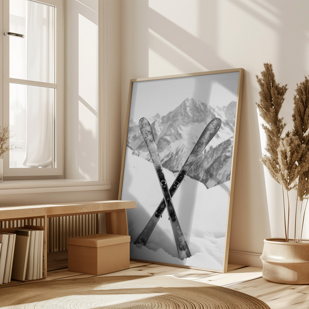 Skies Apls Black and White Poster