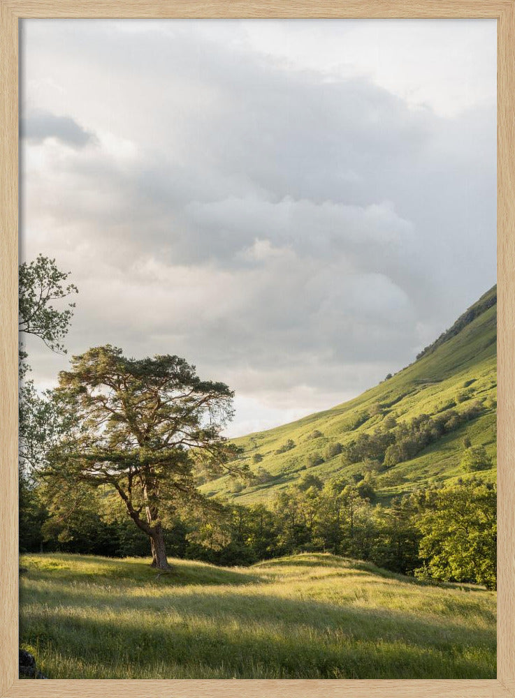 Into the Highlands Poster