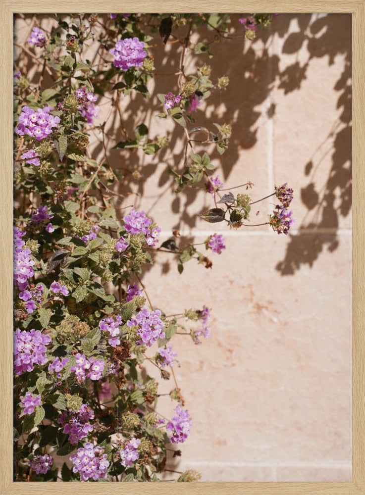 Lilac Summer Poster