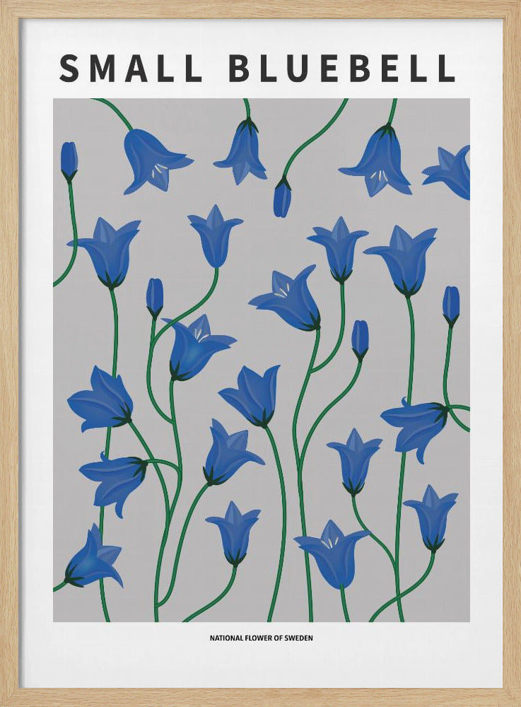 Small Bluebell - National flower of Sweden Poster