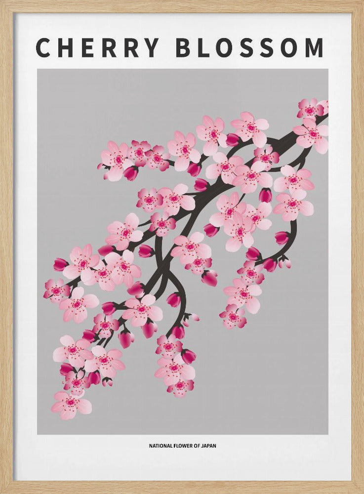 Cherry blossom - National flower of Japan Poster