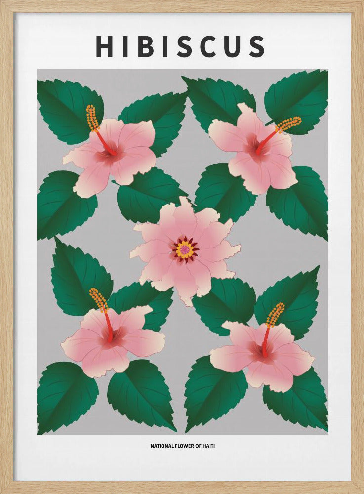 Hibiscus - National flower of Haiti Poster