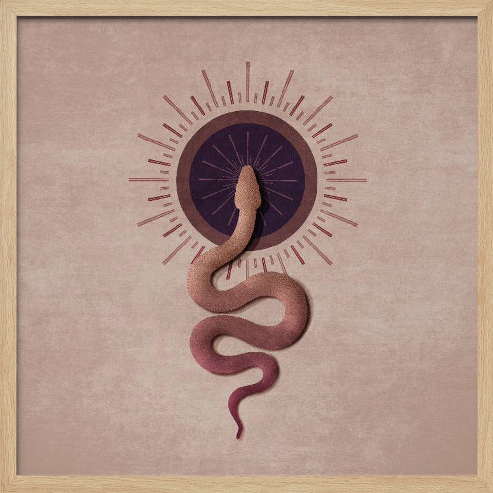 Sun Snake Poster
