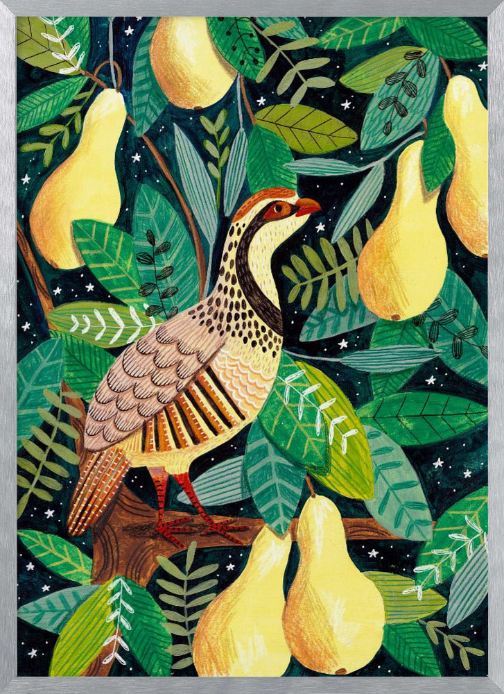 Partridge in a pear tree Poster
