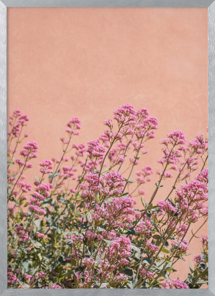 Summer Flowers Poster