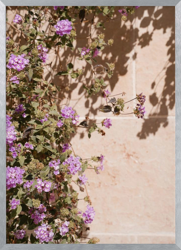 Lilac Summer Poster