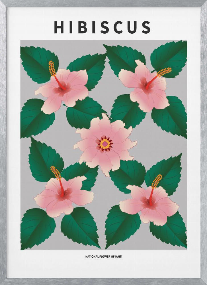 Hibiscus - National flower of Haiti Poster