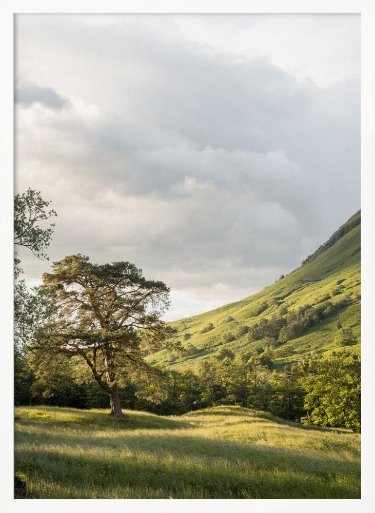 Into the Highlands Poster