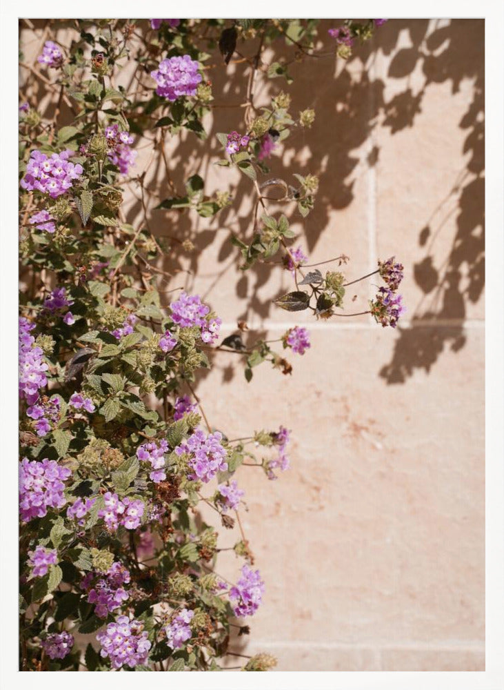 Lilac Summer Poster