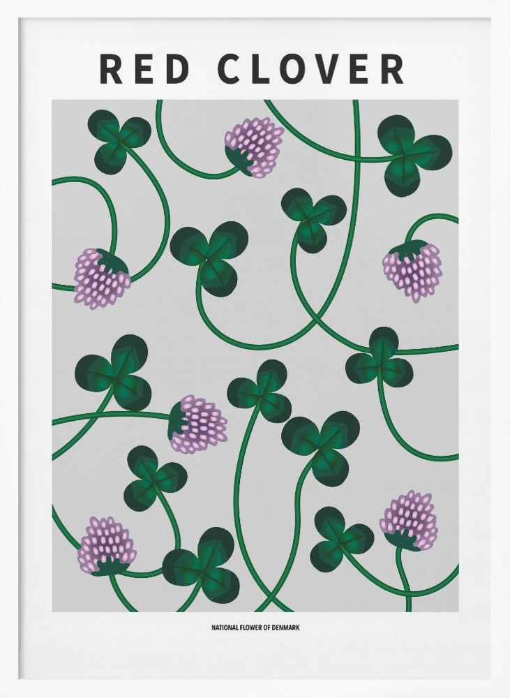Red Clover - National flower of Denmark Poster