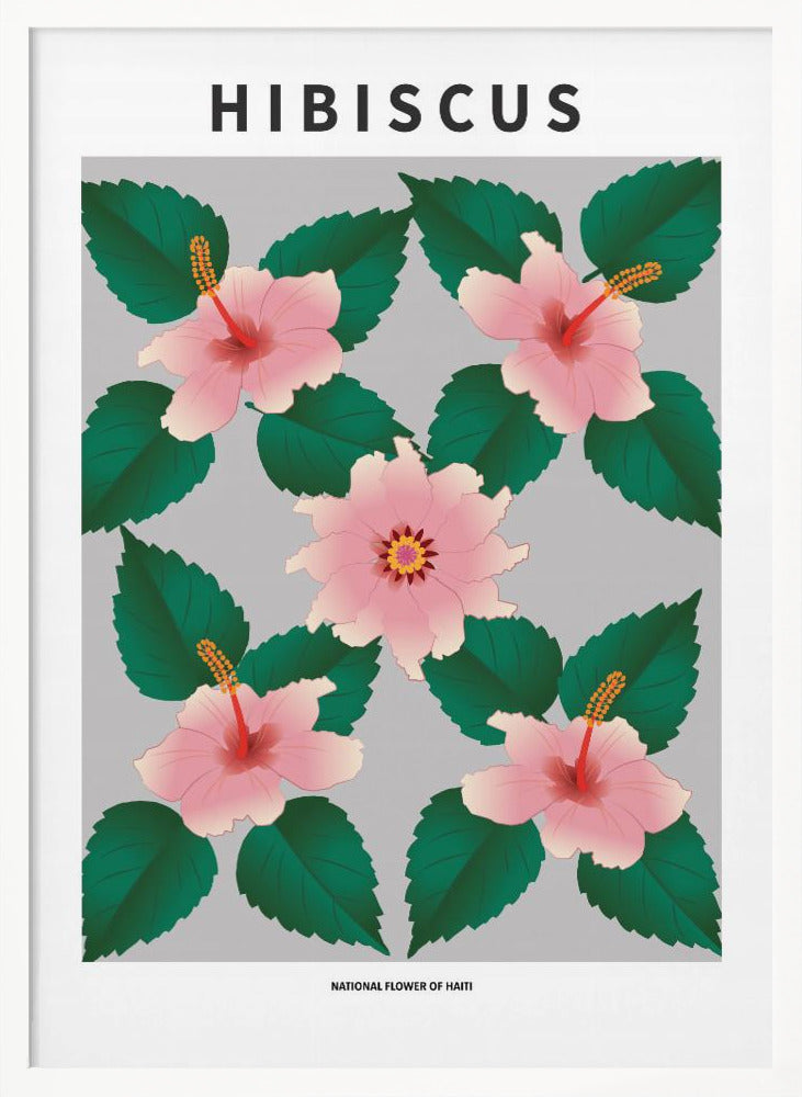 Hibiscus - National flower of Haiti Poster
