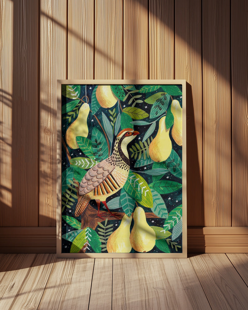 Partridge in a pear tree Poster