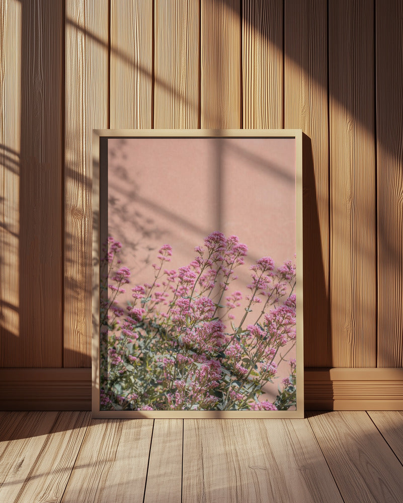Summer Flowers Poster