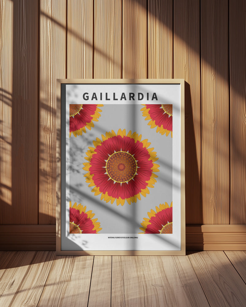 Gaillardia - National flower of Belgium Poster