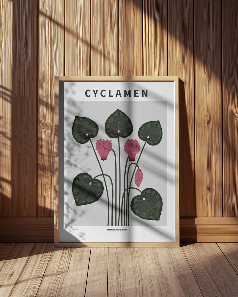 Cyklamen - National flower of Cypres Poster