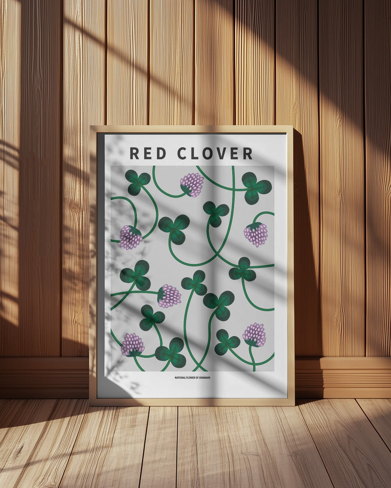 Red Clover - National flower of Denmark Poster