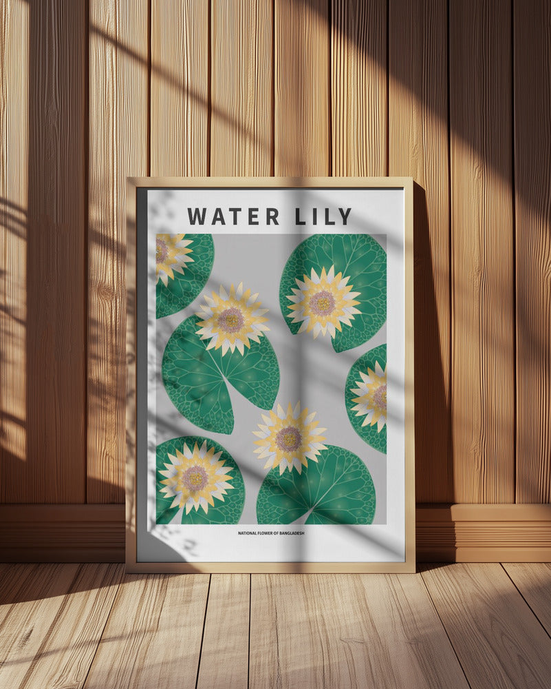 Water lily - National flower of Bangladesh Poster
